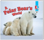 A Polar Bear's World