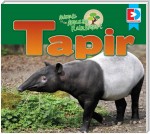 Animals of the Amazon Rainforest: Tapir