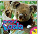 El koala