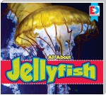 All About Jellyfish