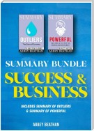 Summary Bundle: Success & Business