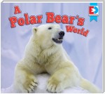 A Polar Bear's World