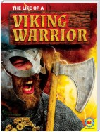 The Life of a Viking Warrior