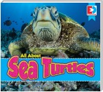 All About Sea Turtles