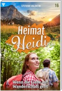 Heimat-Heidi 16 – Heimatroman