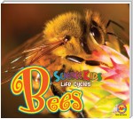 Bees