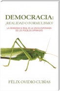 Democracia: ¿Realidad O Formulismo?