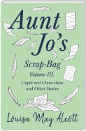 Aunt Jo's Scrap-Bag, Volume III. Cupid and Chow-chow, and Other Stories