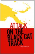 Attack on the Black Cat Track