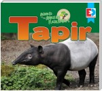 Animals of the Amazon Rainforest: Tapir