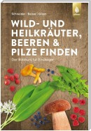 Wild- und Heilkräuter, Beeren und Pilze finden