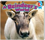 A Reindeer's World