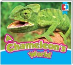 A Chameleon’s World