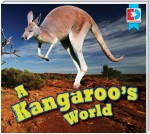 A Kangaroo's World