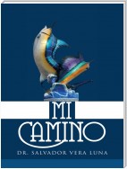 Mi Camino