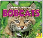 Bobcats