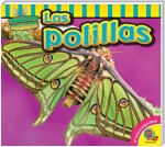 Las polillas