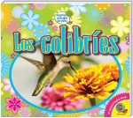 Los colibríes