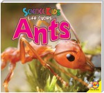 Ants