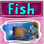 Fish: Discover These Fish Pictures And Facts That Children Can Learn From
