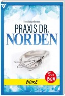 Praxis Dr. Norden 2 – Arztroman