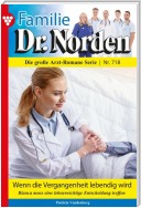 Familie Dr. Norden 718 – Arztroman