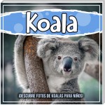 Koala: ¡Descubre fotos de koalas para niños!