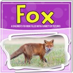 Fox: A Children's Fox Book Filled With A Variety Of Pictures