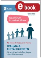 Schnelle Hilfe zum Thema Trauma u. Auffälligkeiten