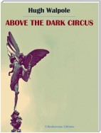 Above the Dark Circus