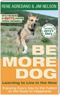 Be More Dog