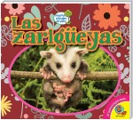 Las zarigüeyas