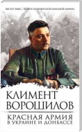 Красная Армия в Украине и Донбассе