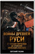 Войны Древней Руси. От походов Святослава до сражения Александра Невского