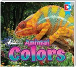 All About Animals - Animal Colors