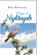 Flight of a Nightingale