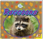 Raccoons