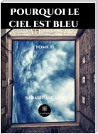 Pourquoi le ciel est bleu - Tome 2