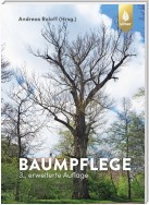 Baumpflege