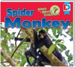 Animals of the Amazon Rainforest: Spider Monkey