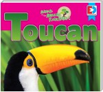 Animals of the Amazon Rainforest: Toucan