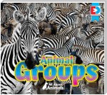All About Animals - Animal Groups