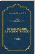 Путешествия на Новую Гвинею (Дневники путешествий 1872—1875). Том 1