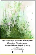 The Traces of a Primitive Monotheism (Primitiver Monotheismus) Bilingual Edition English Germany