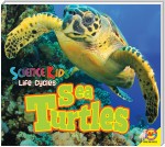 Sea Turtles