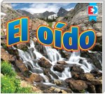 El oído