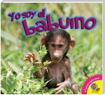 El babuino
