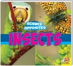 Insects