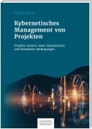 Kybernetisches Management von Projekten