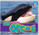 Todo sobre las orcas